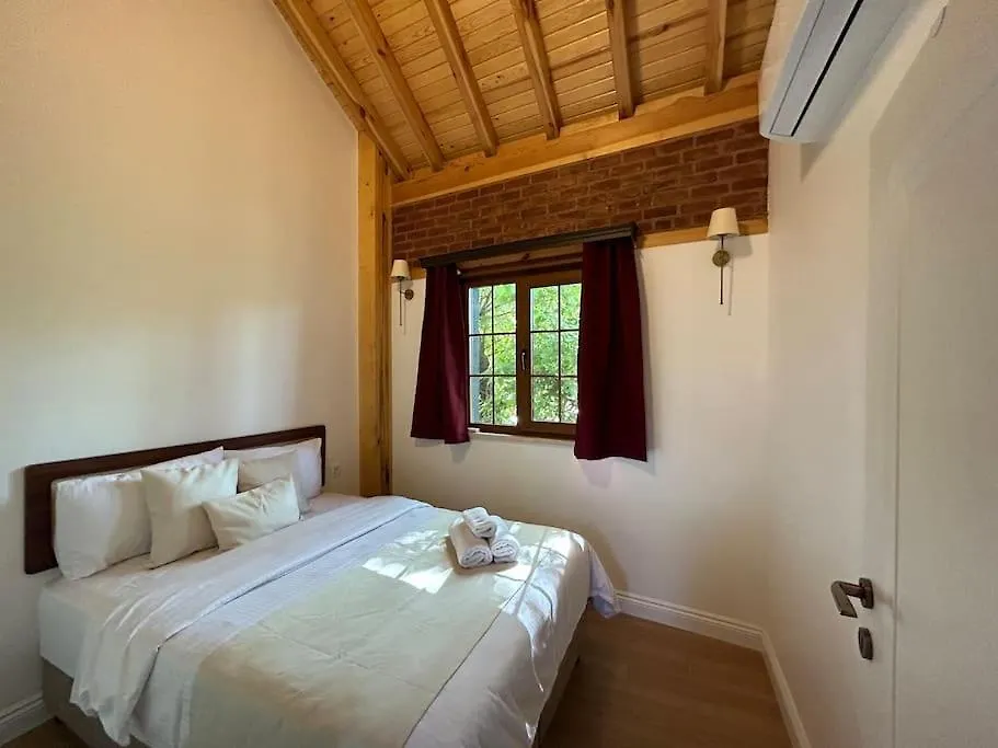 Villa Arancia Istanbul - Garden, Bbq, Sauna & Turkish Bath By The Tram In Fatih Τουρκία
